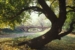 2560px-Central_Park_New_York_City_New_York_23_cropped