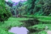 Tortuguero