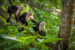 cahuita nationalpark