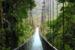monteverde