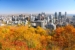 montreal2 (1)