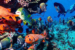 raa-atoll-diving
