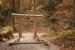 torii-7489492_1920