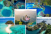 philippines