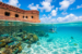 tortugabay